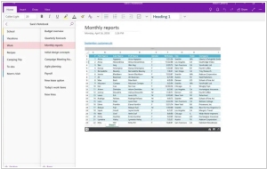 OneNote